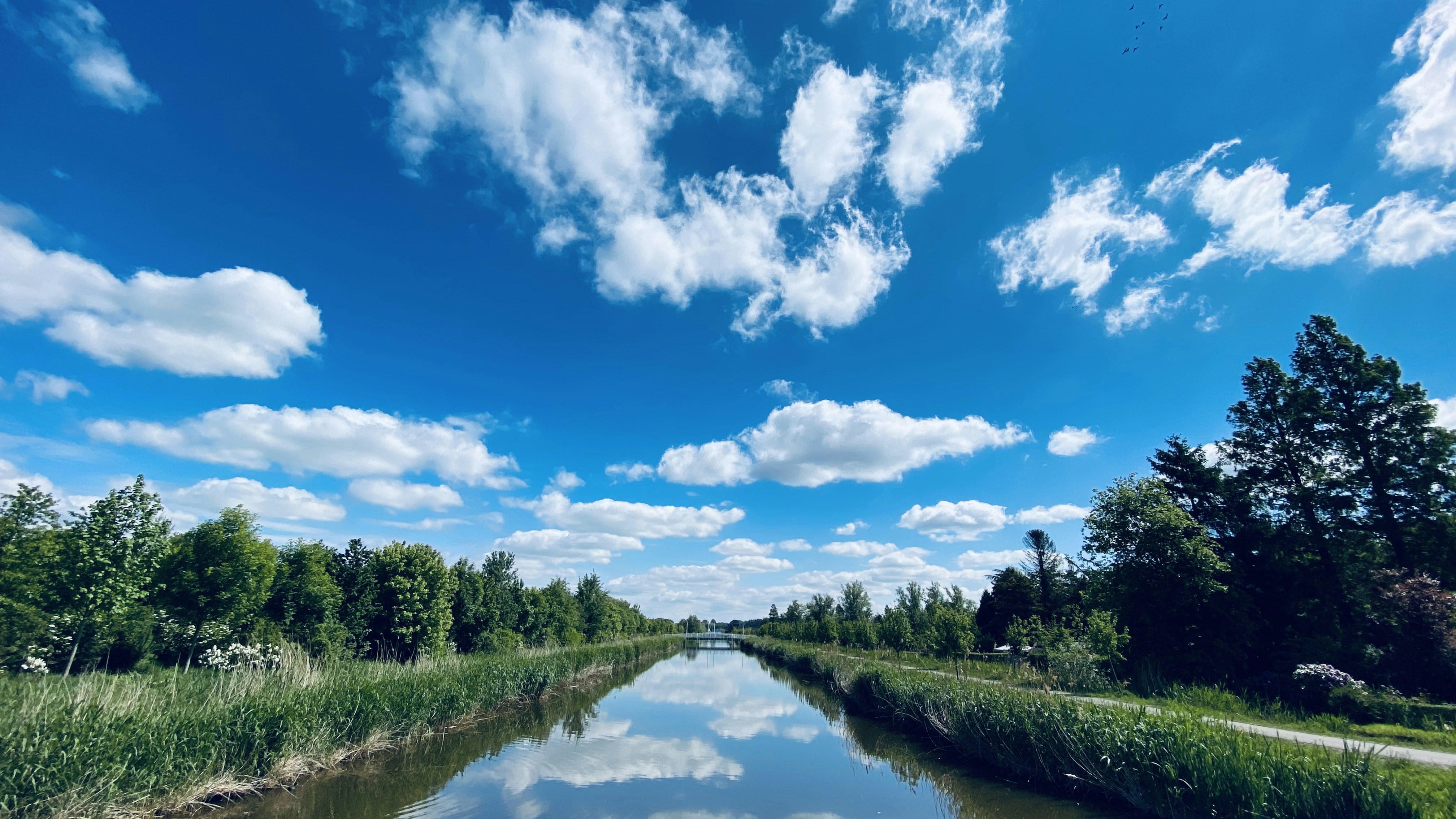 Photo by maartenscheer