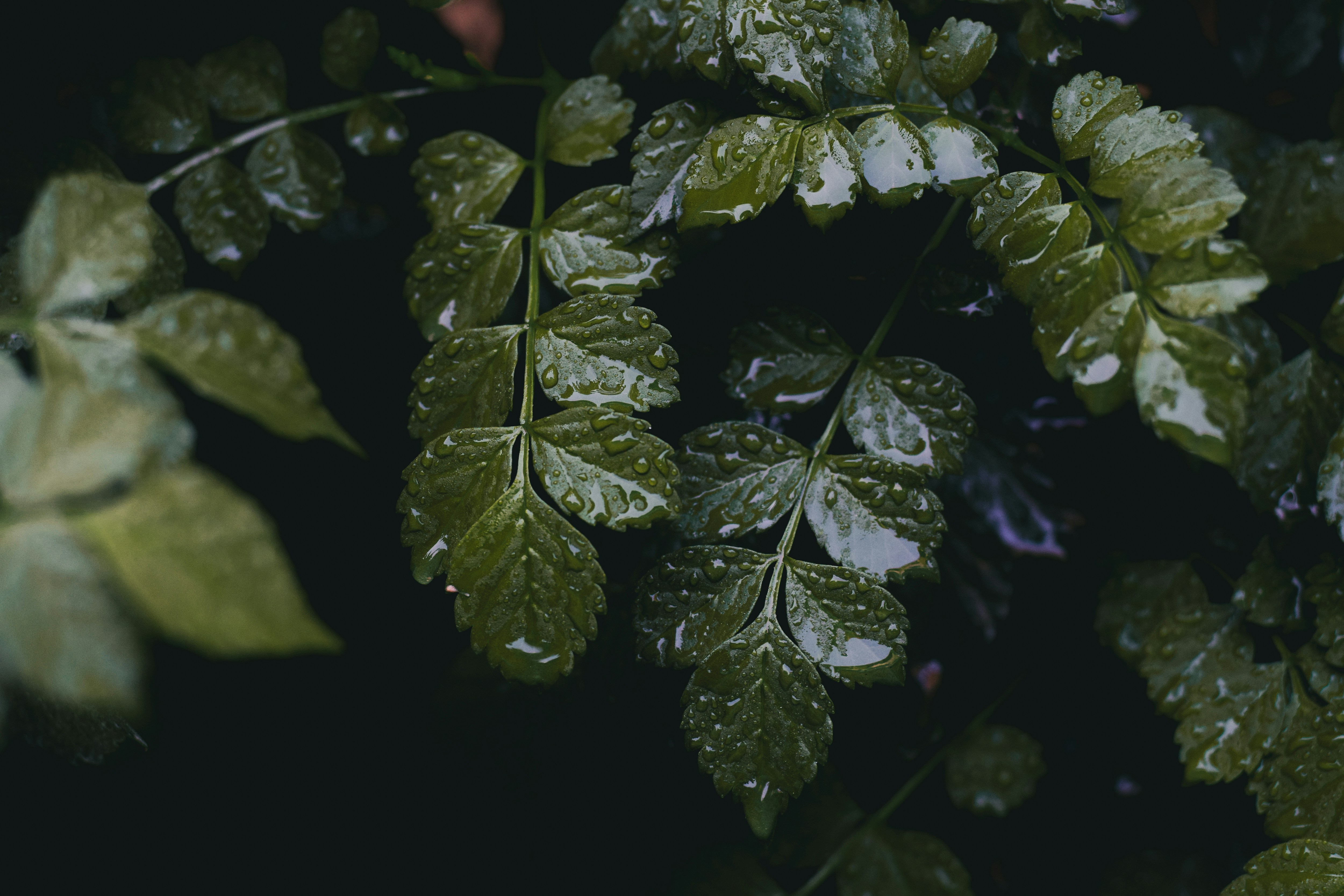 Photo by richasharma96