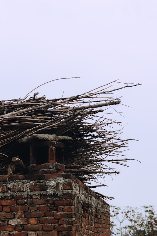 brown and gray concrete house under white sky during daytime in Uttar Pradesh India