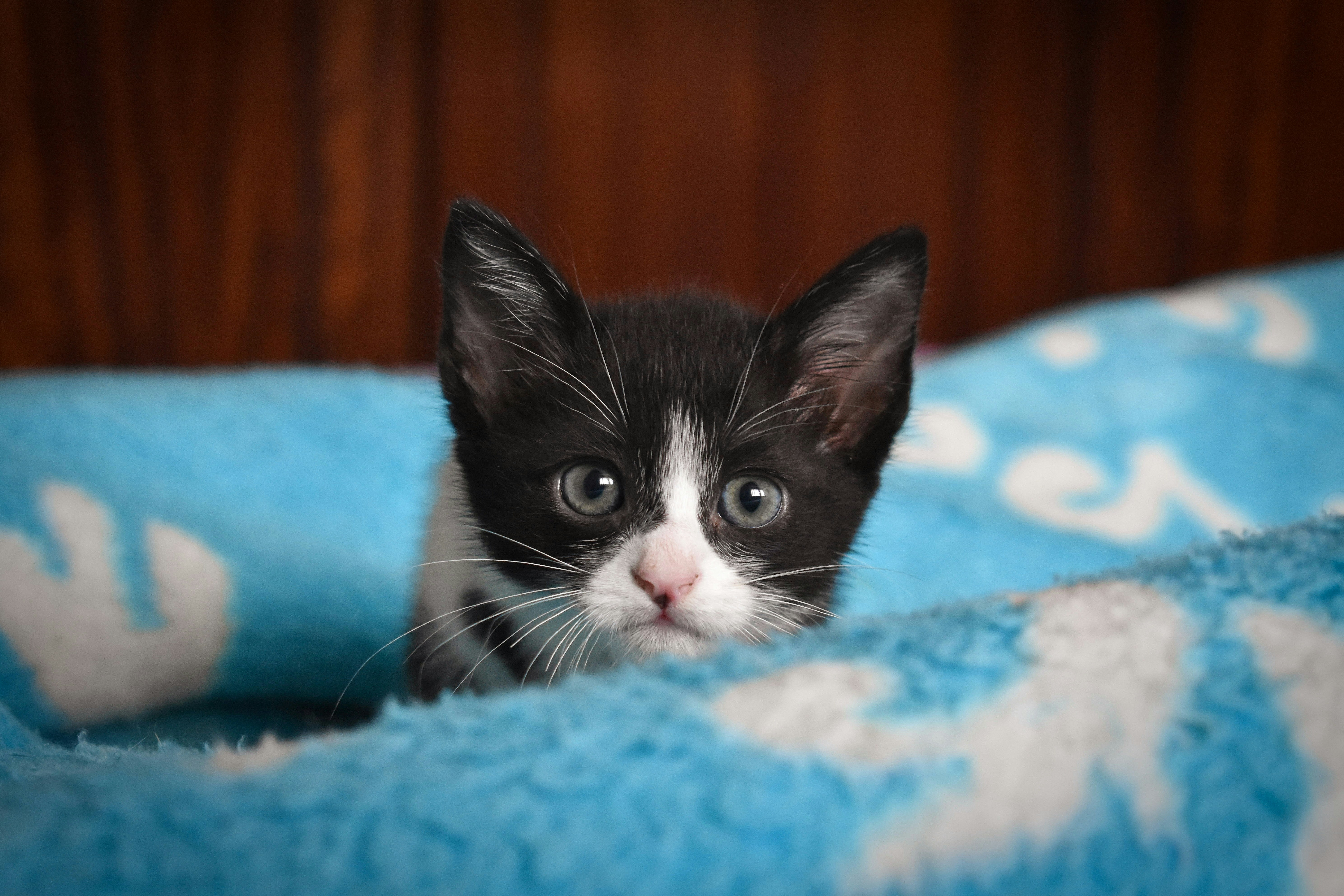 Photo by andreiamaroli