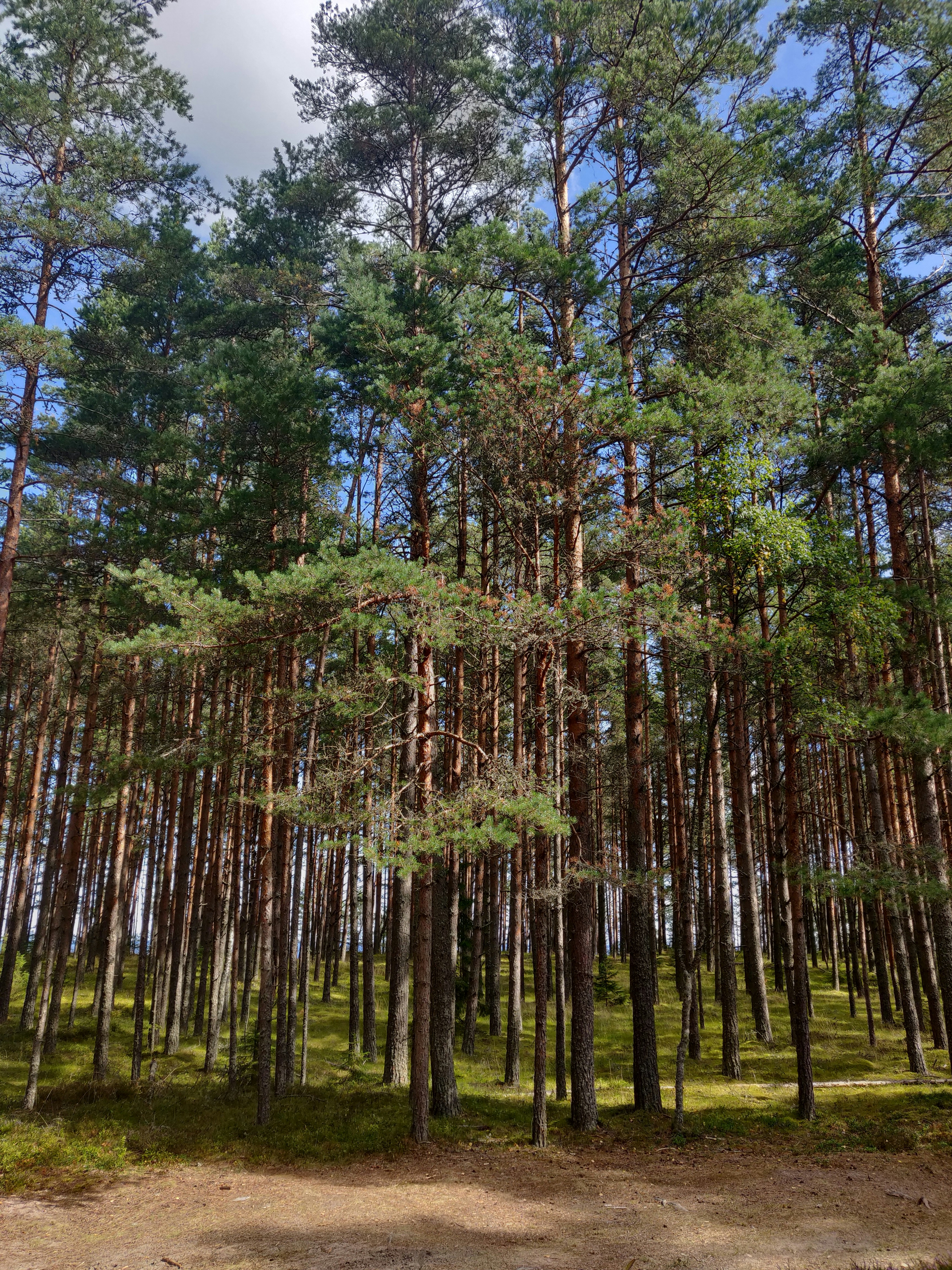 Photo by maulin_salvi