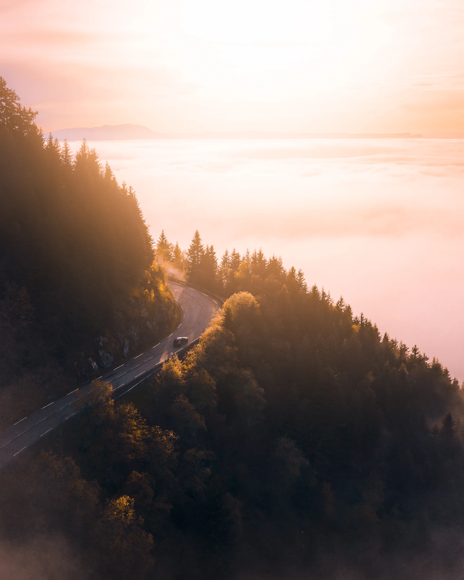 A mountain road winding through forest at golden hour