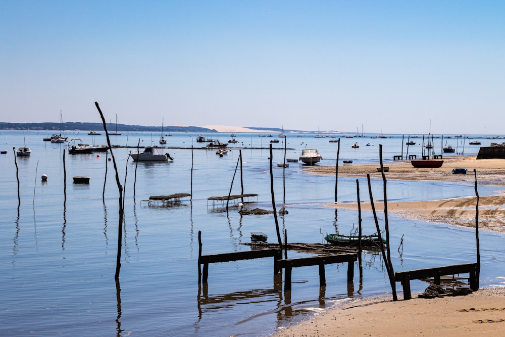 Weiße Boote auf See legen tagsüber an