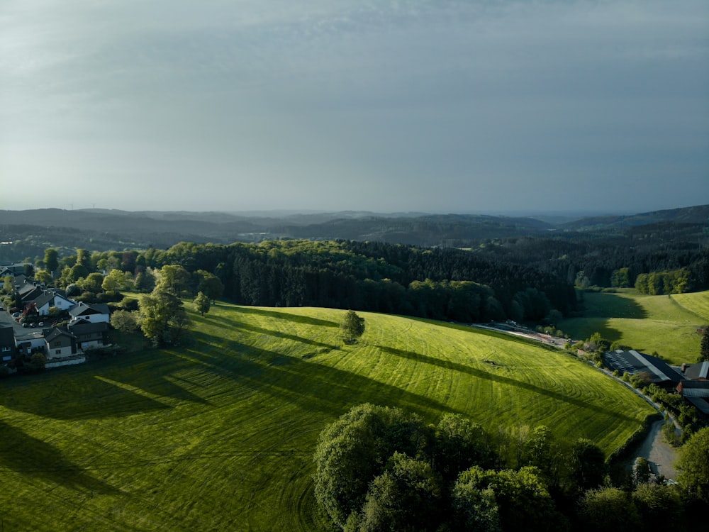 Grünes Grasfeld unter grauem Himmel