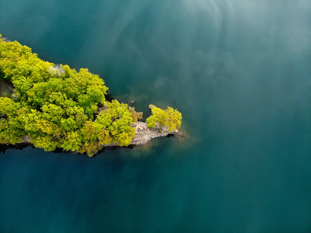 green trees on island during daytime