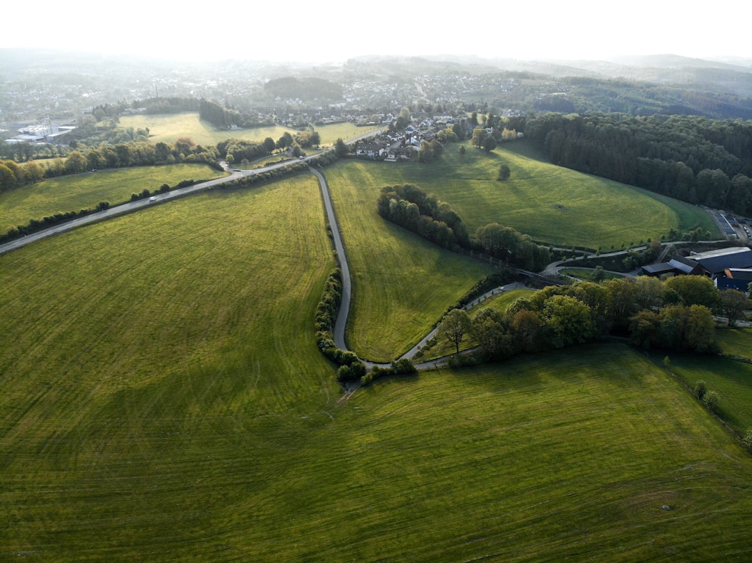 aerial view of green grass field during daytime