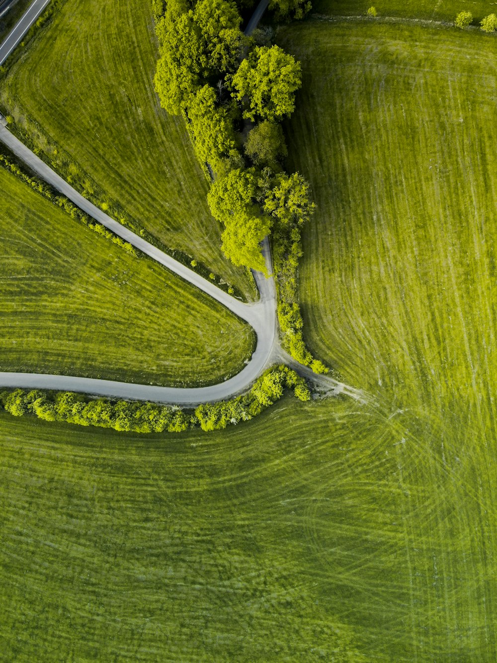 aerial view of green trees on green grass field during daytime