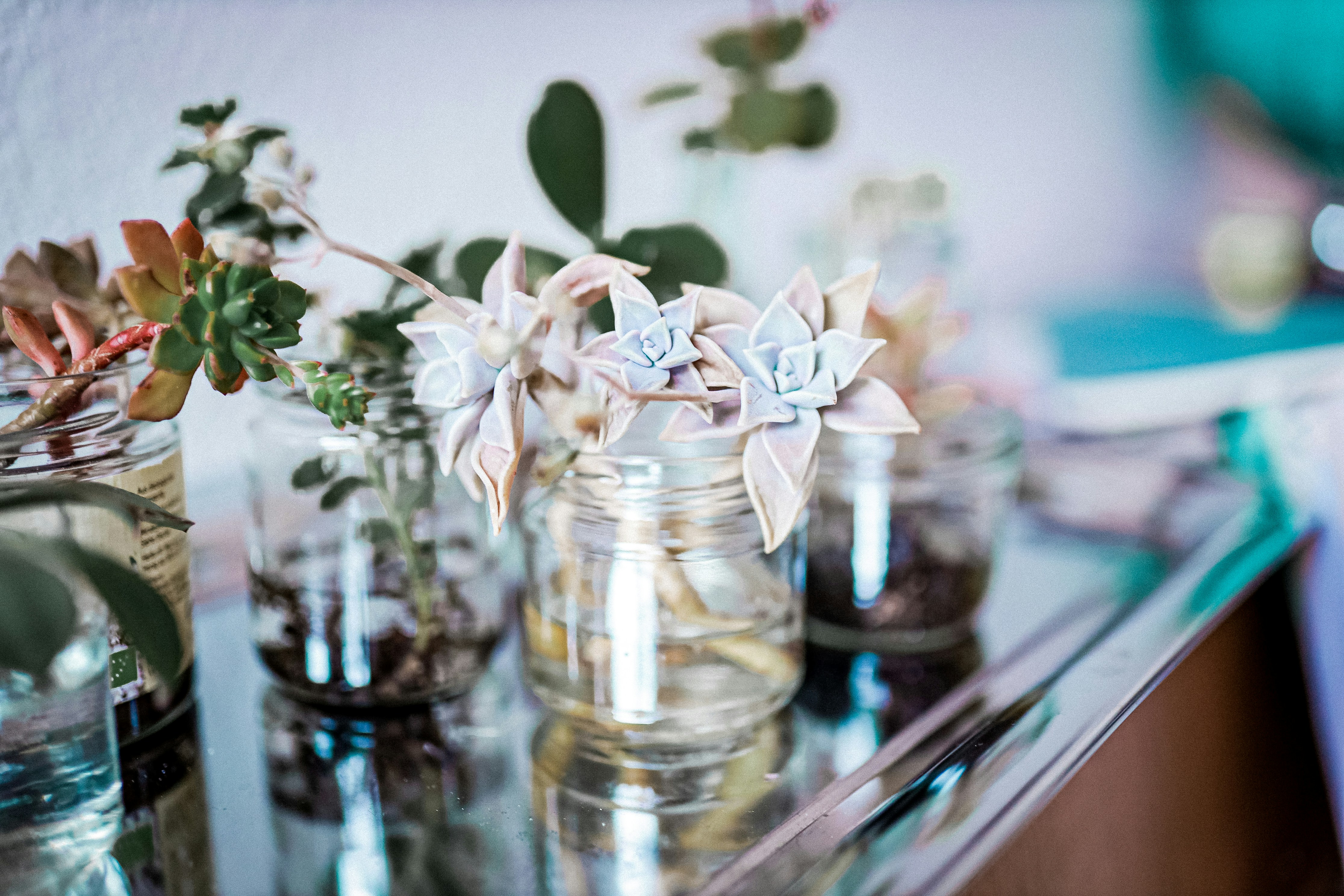 Photo by corina_rainer_