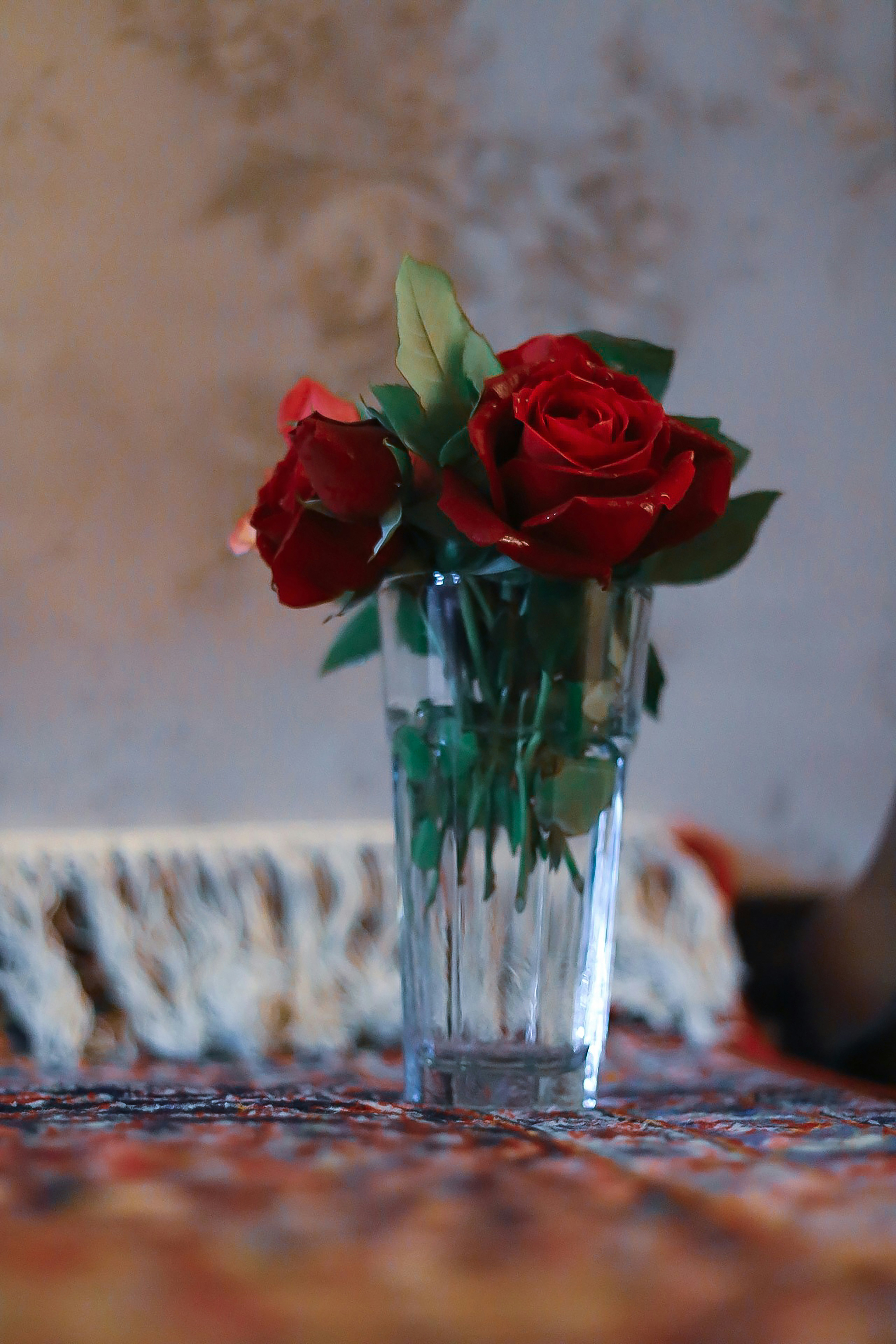 Photo by zeinabahmadpour