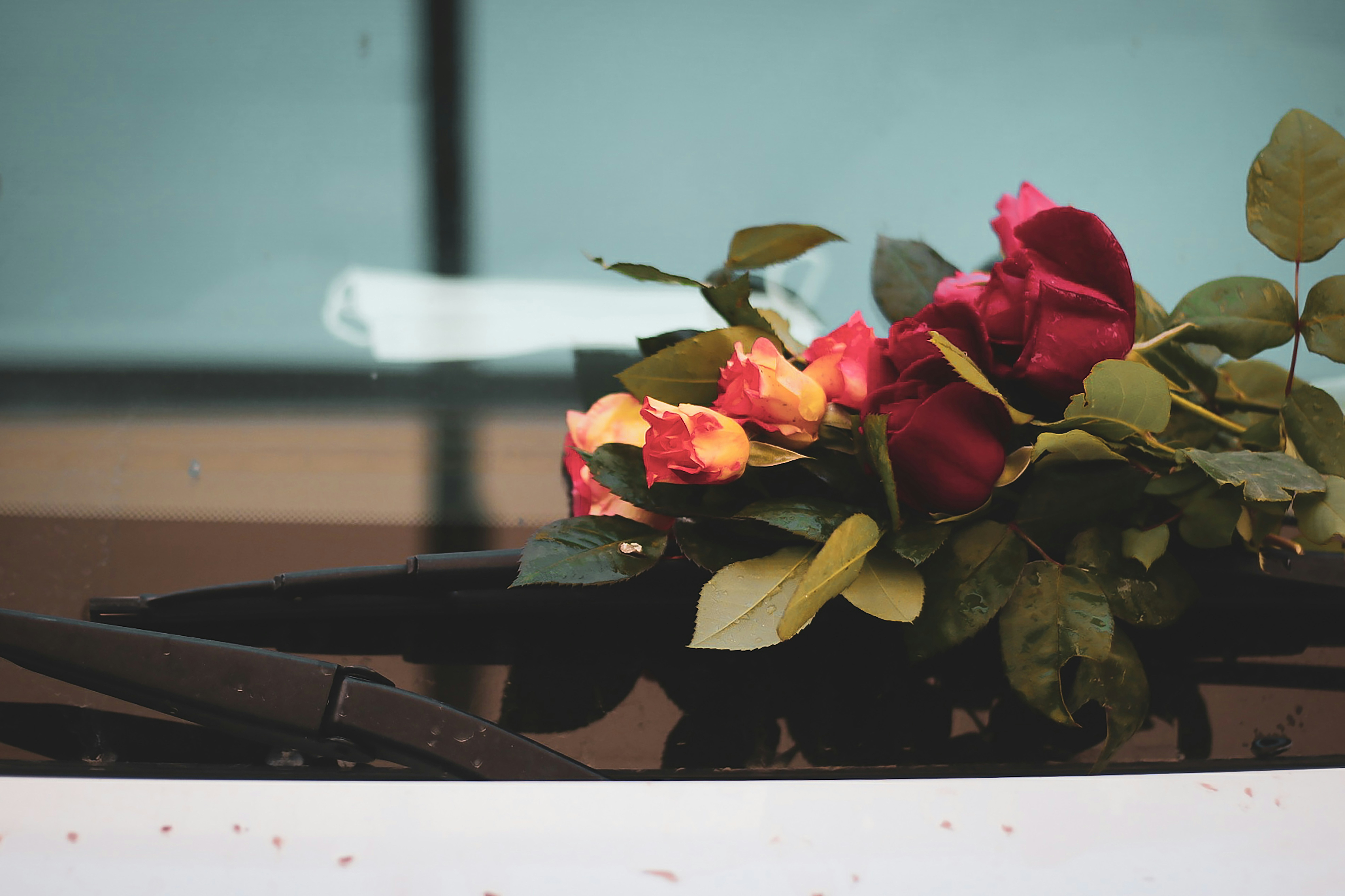 Photo by zeinabahmadpour