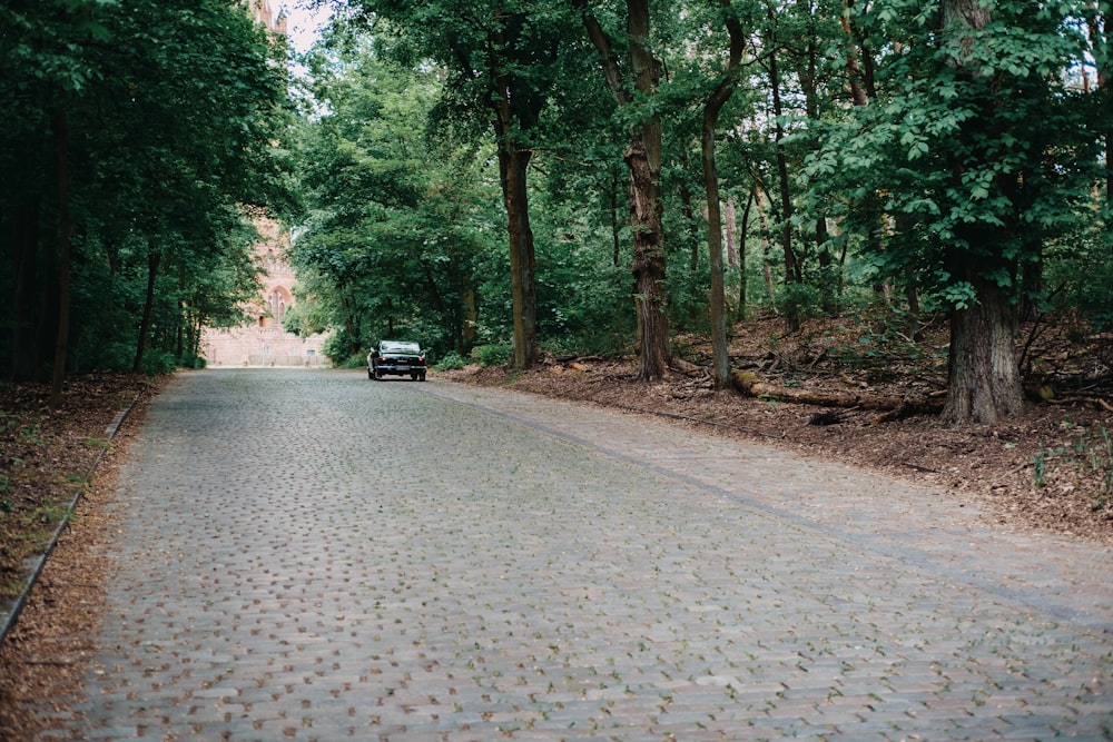 black car on road between trees during daytime