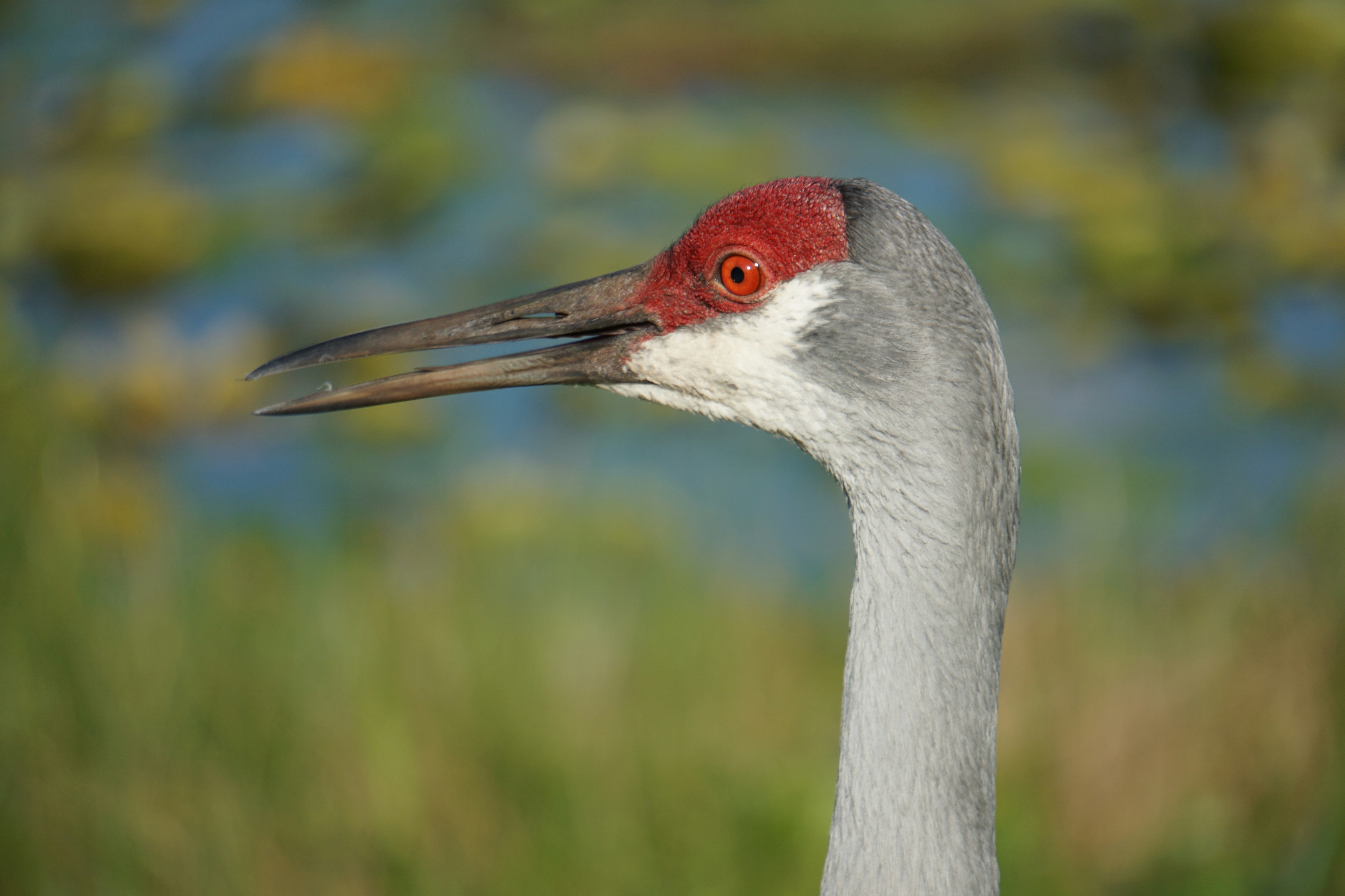 Photo by andresslack