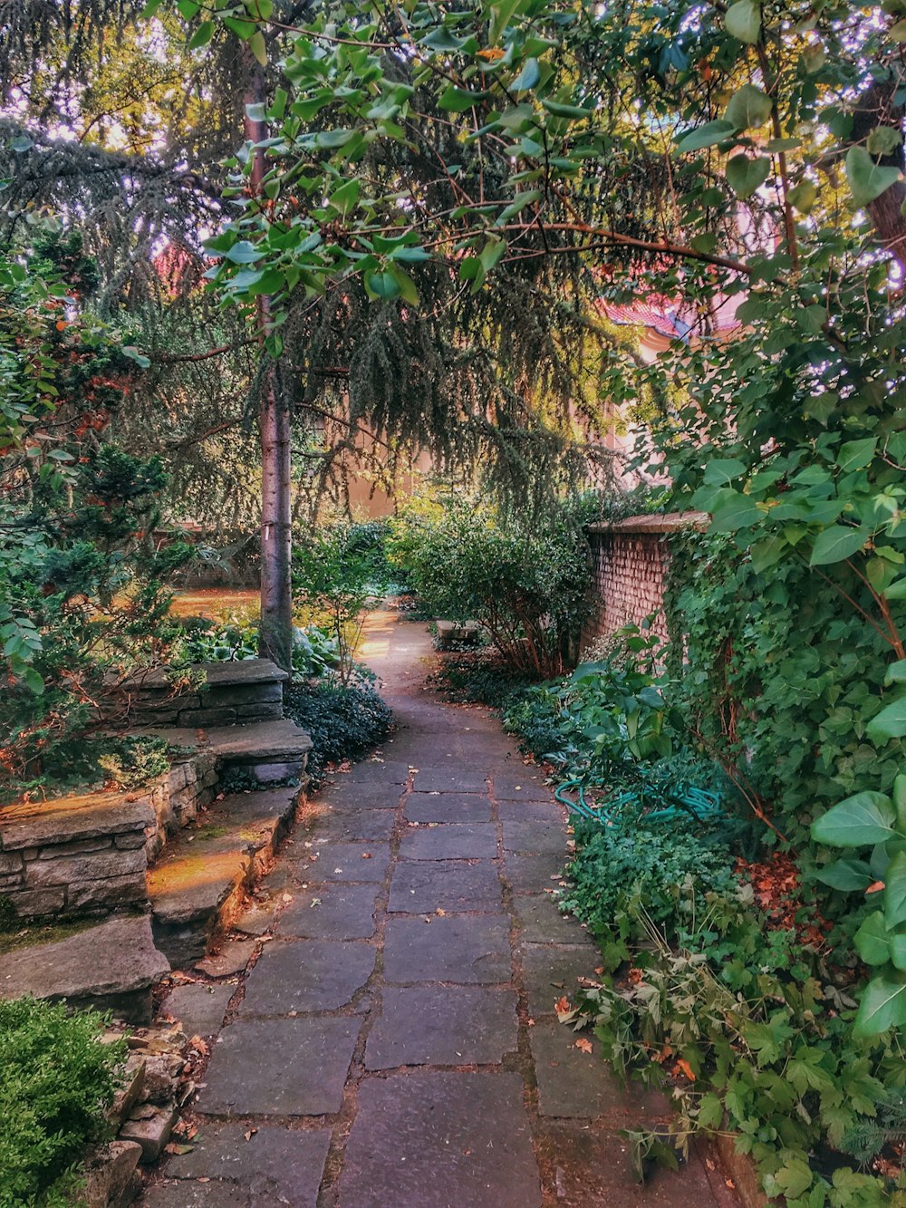 brown concrete pathway between green trees during daytime