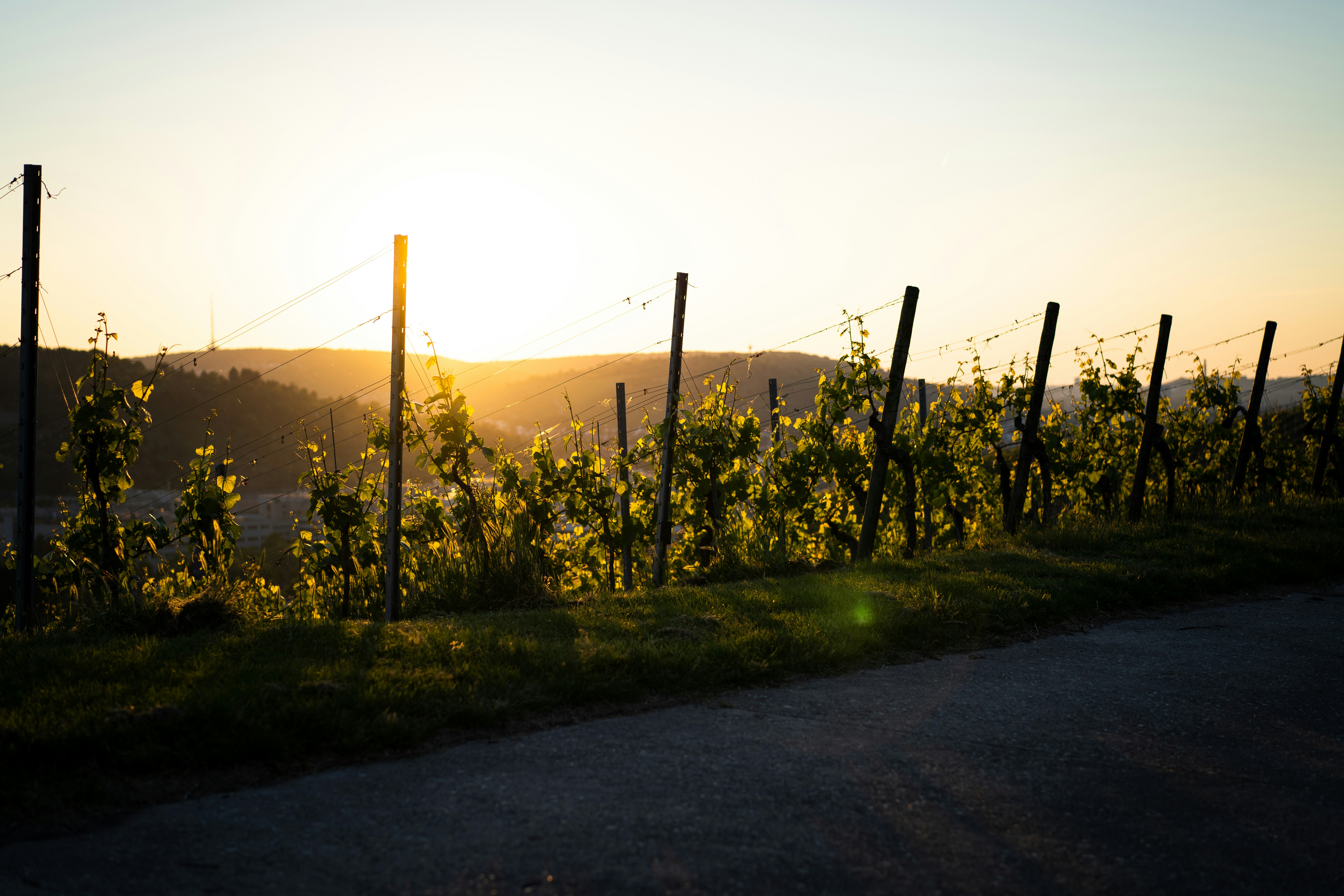 Grünes Grasfeld in der Nähe des Berges tagsüber