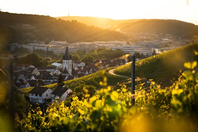 A scenic view of Saint Gély du Fesc with the Pic Saint Loup mountain in the background at sunset.