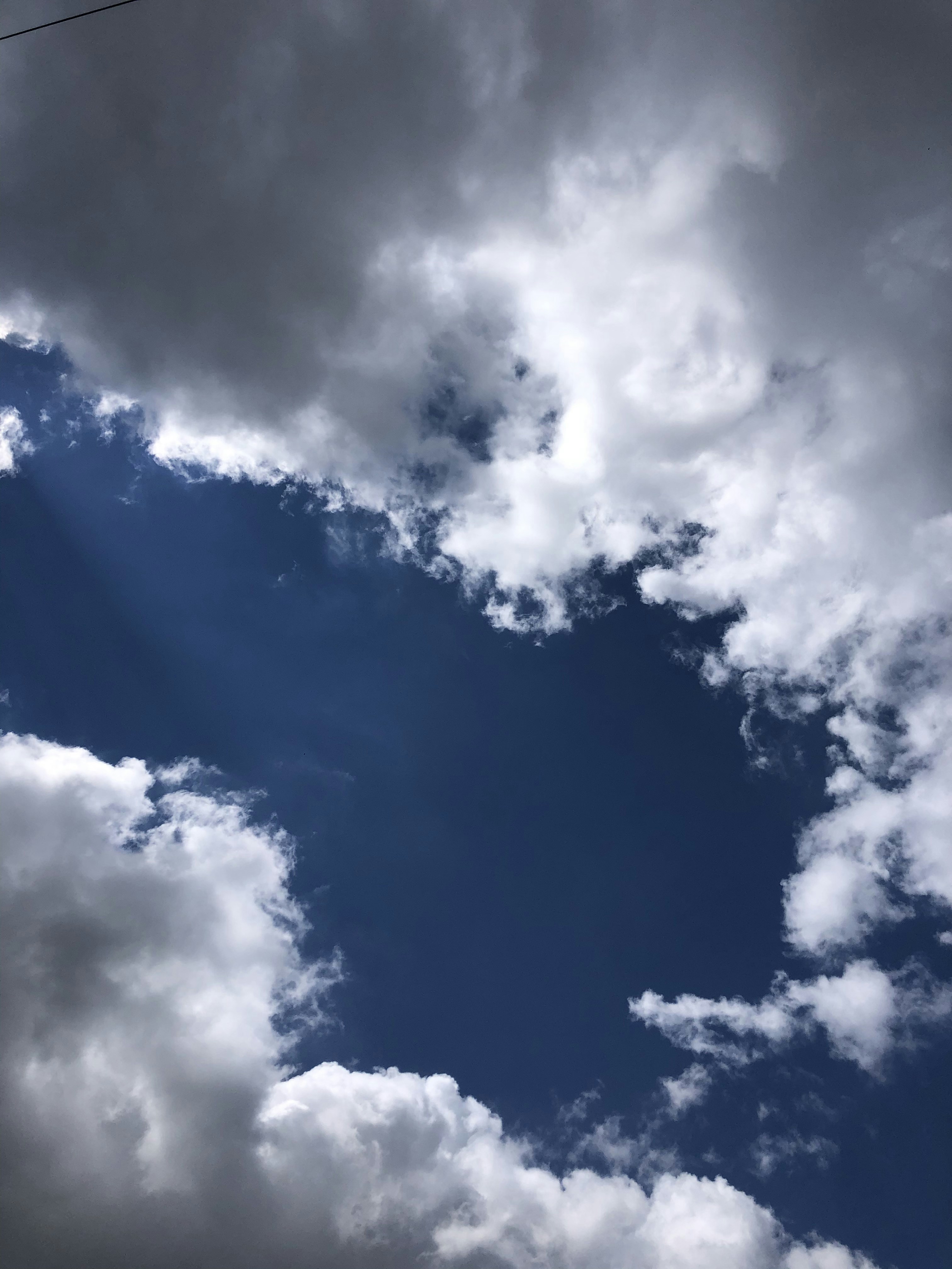 Photo by deniphotography