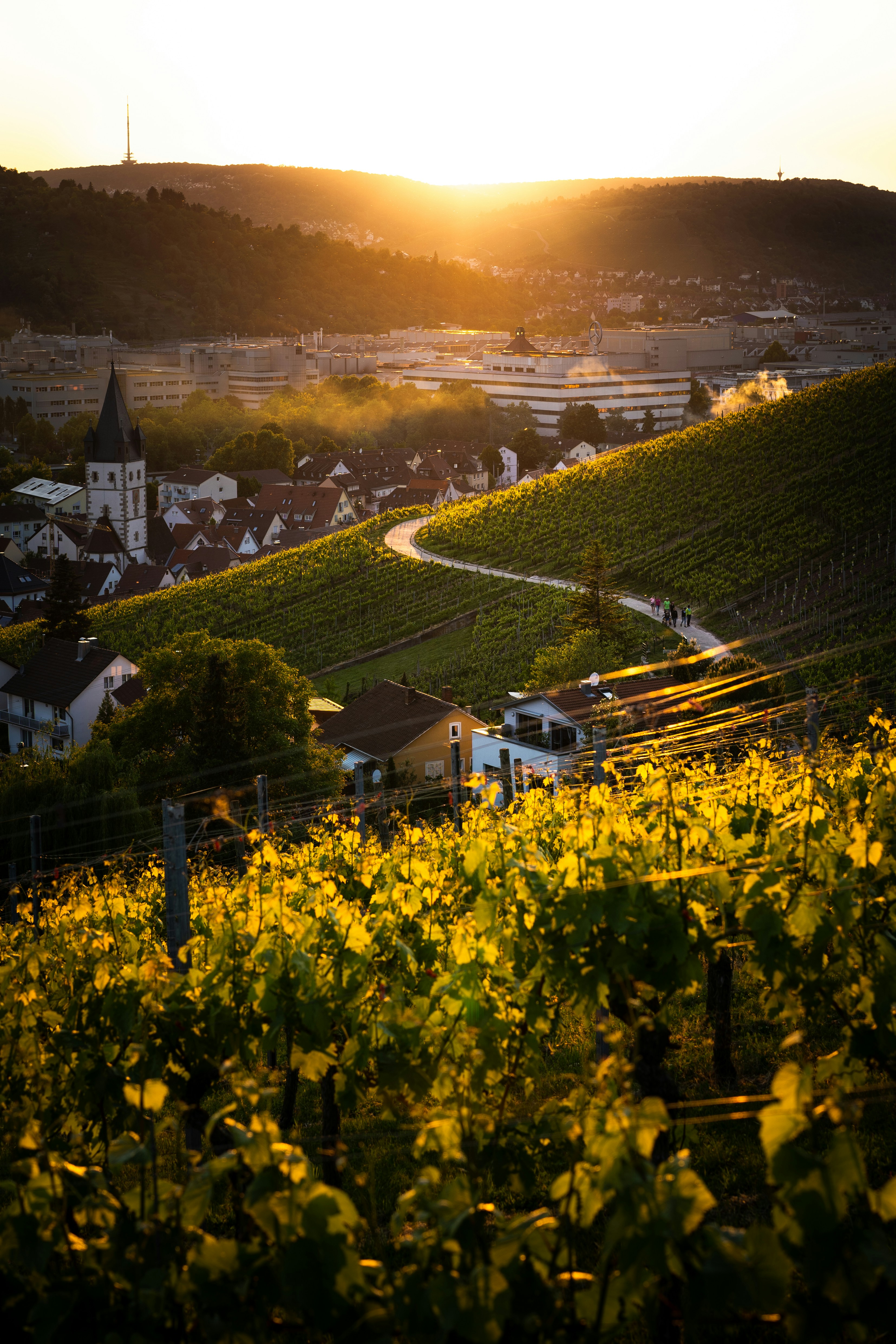 Weißes und schwarzes Haus auf grünem Grasfeld tagsüber