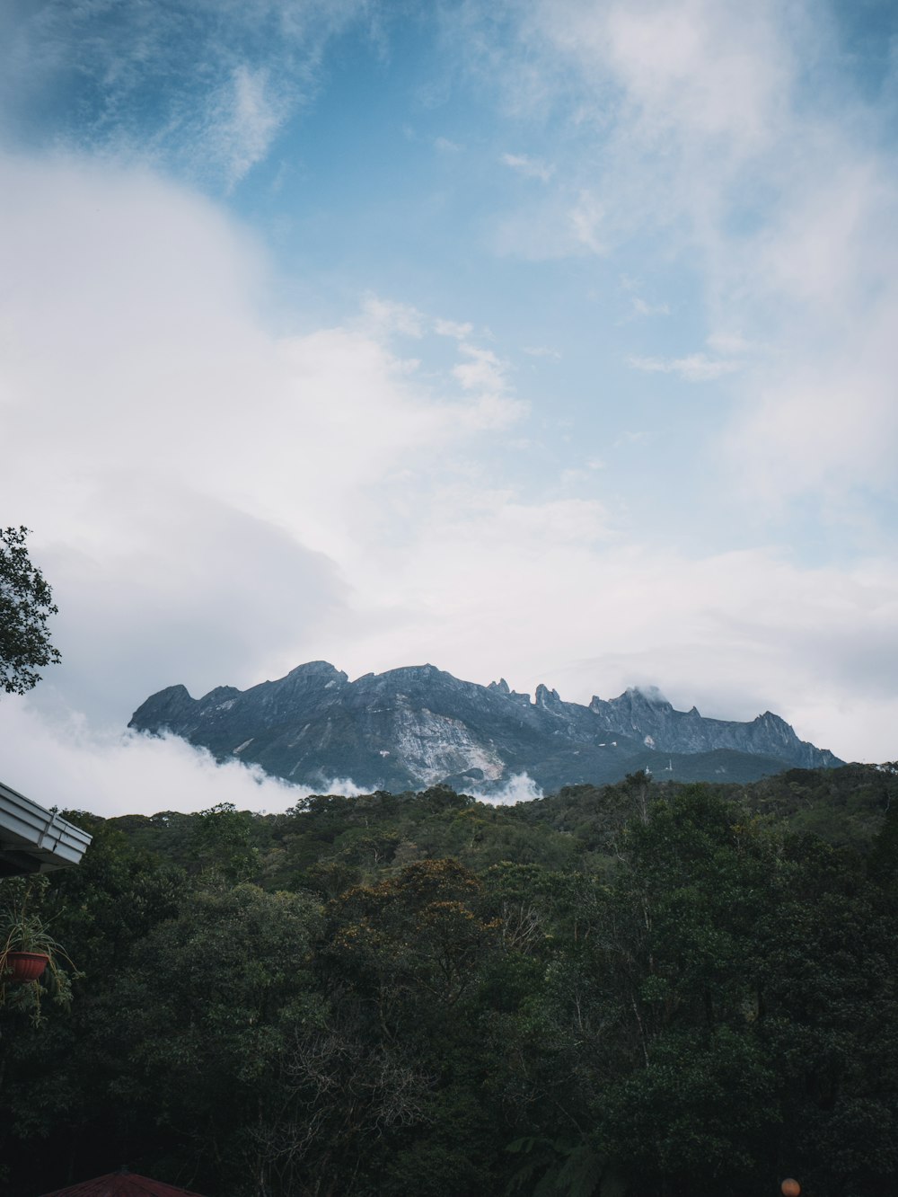 green trees near mountain under white clouds during daytime