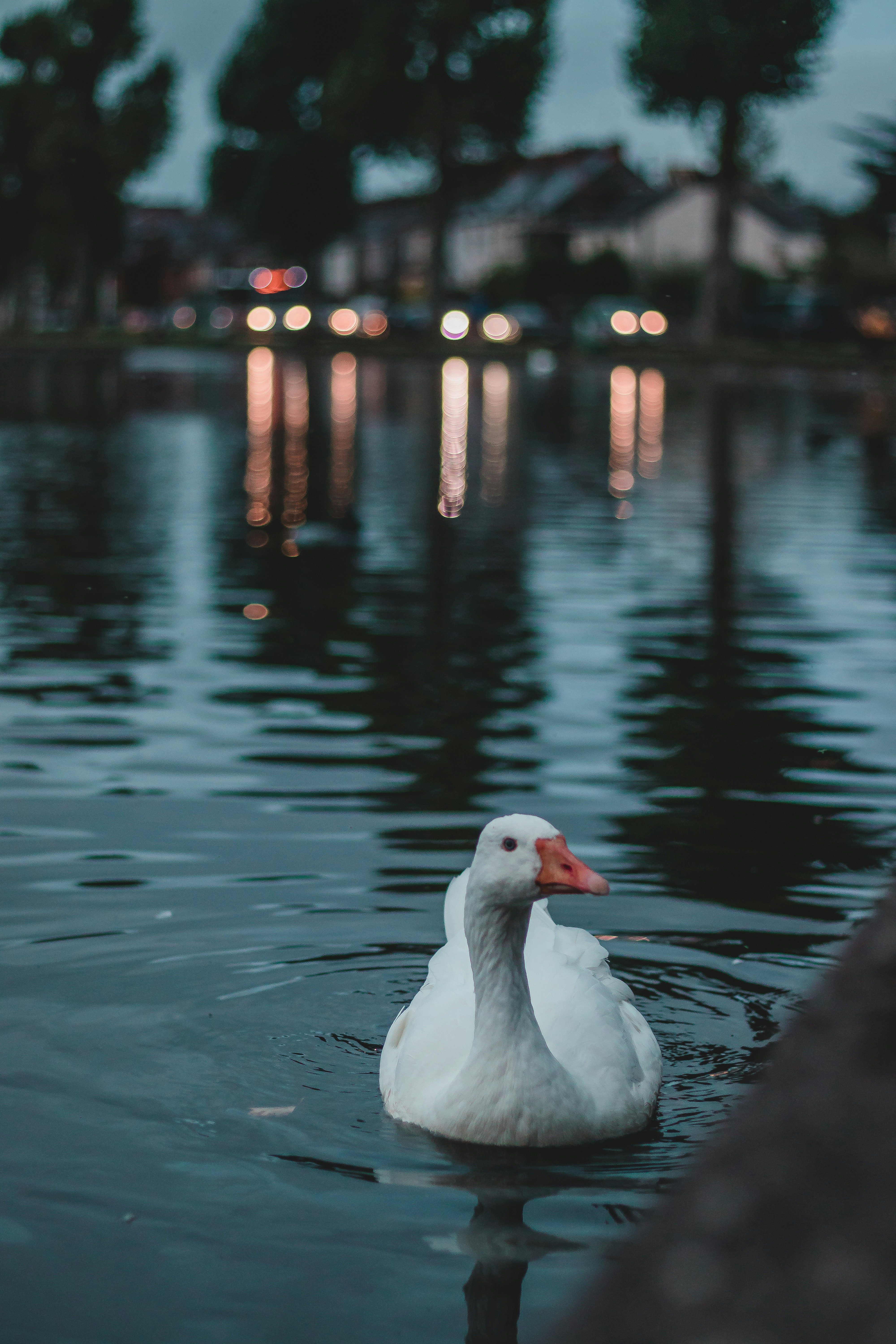 Photo by captain_pixels