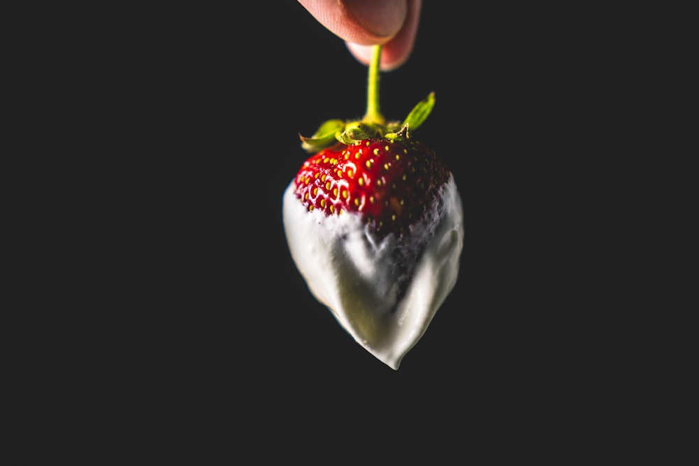 strawberry fruit with white cream