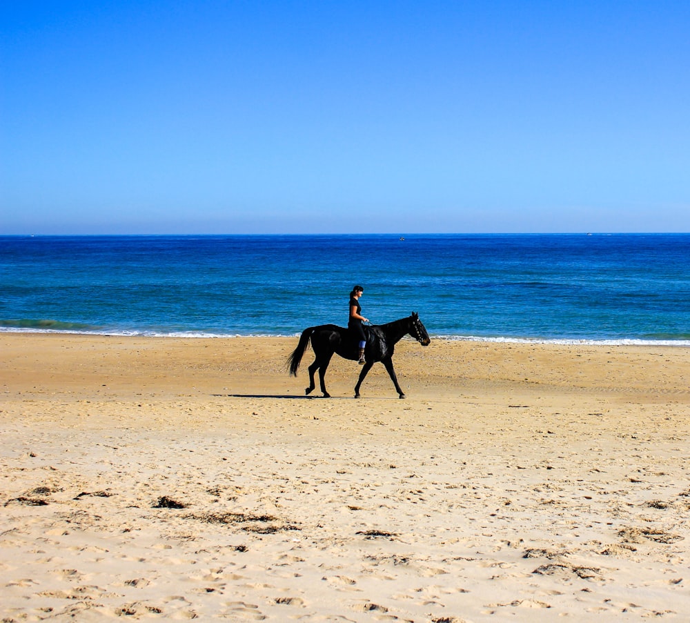 man riding horse on beach during daytime