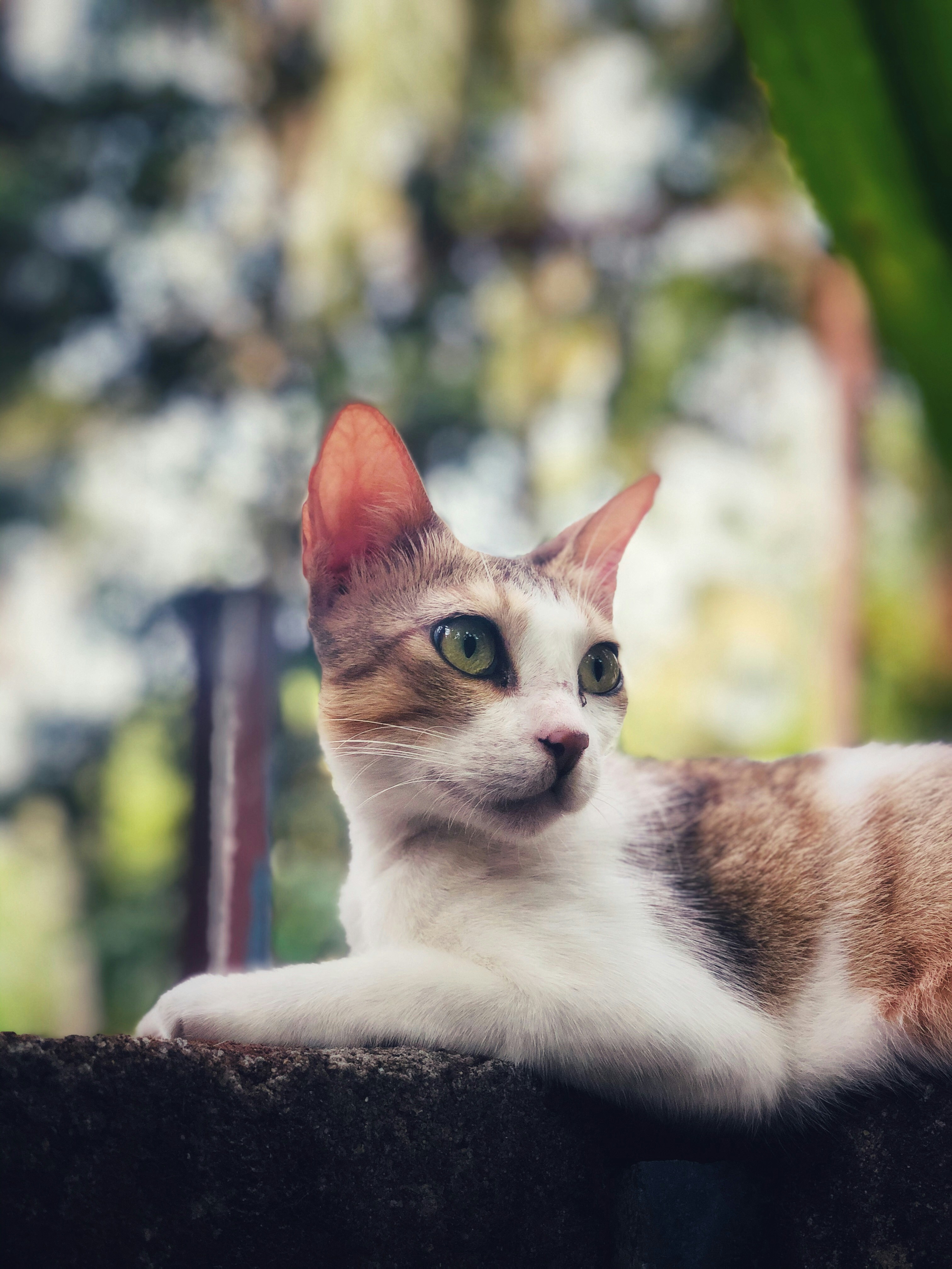 Photo by nabilnalakath