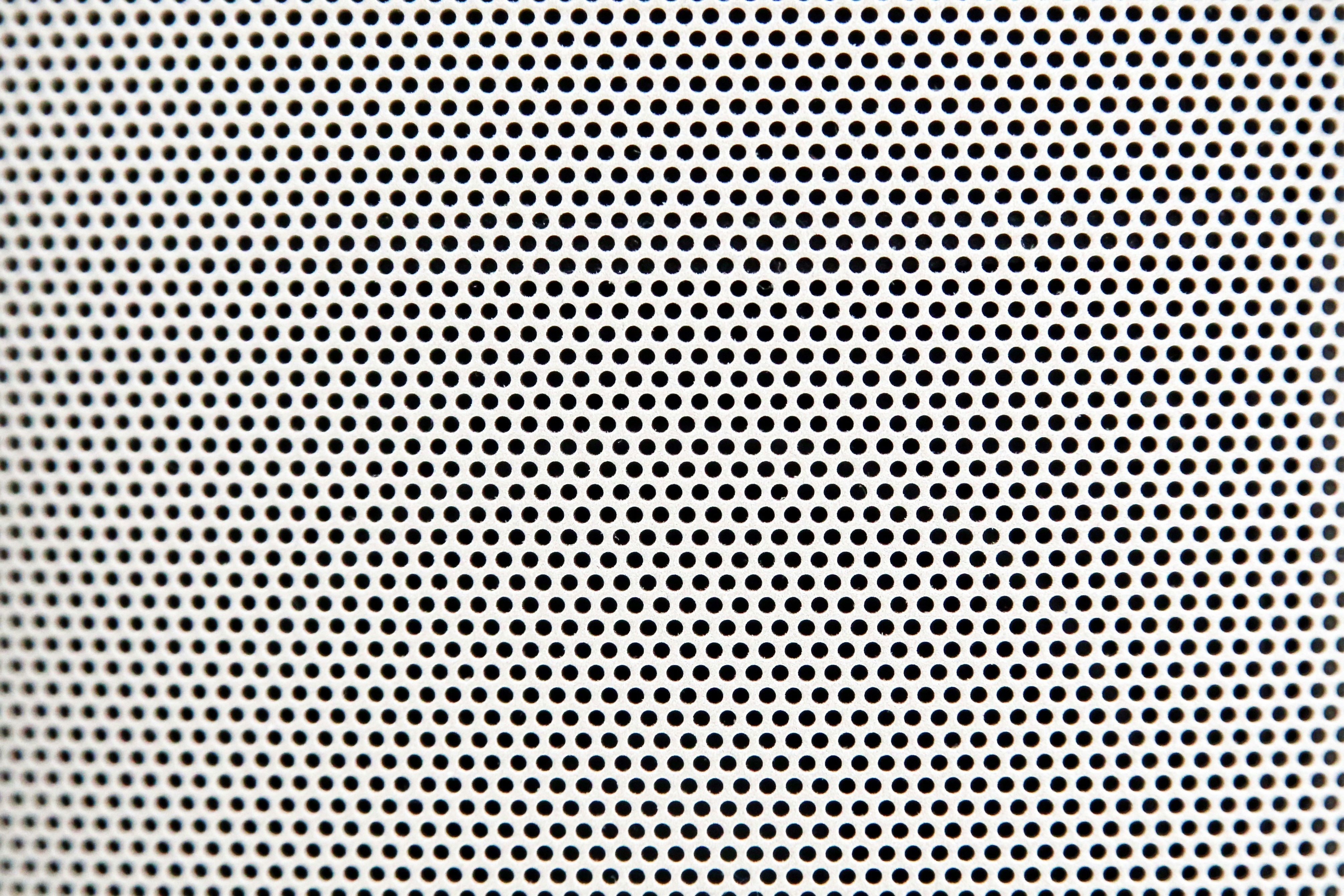 Featured image of post netbird