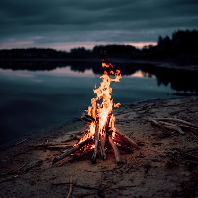 bonfire near body of water during night time