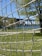 A close-up of a net, with a grassy area and trees in the background. A large bridge is visible in the distance across a body of water.
