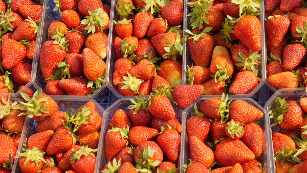 strawberries in blue plastic crate