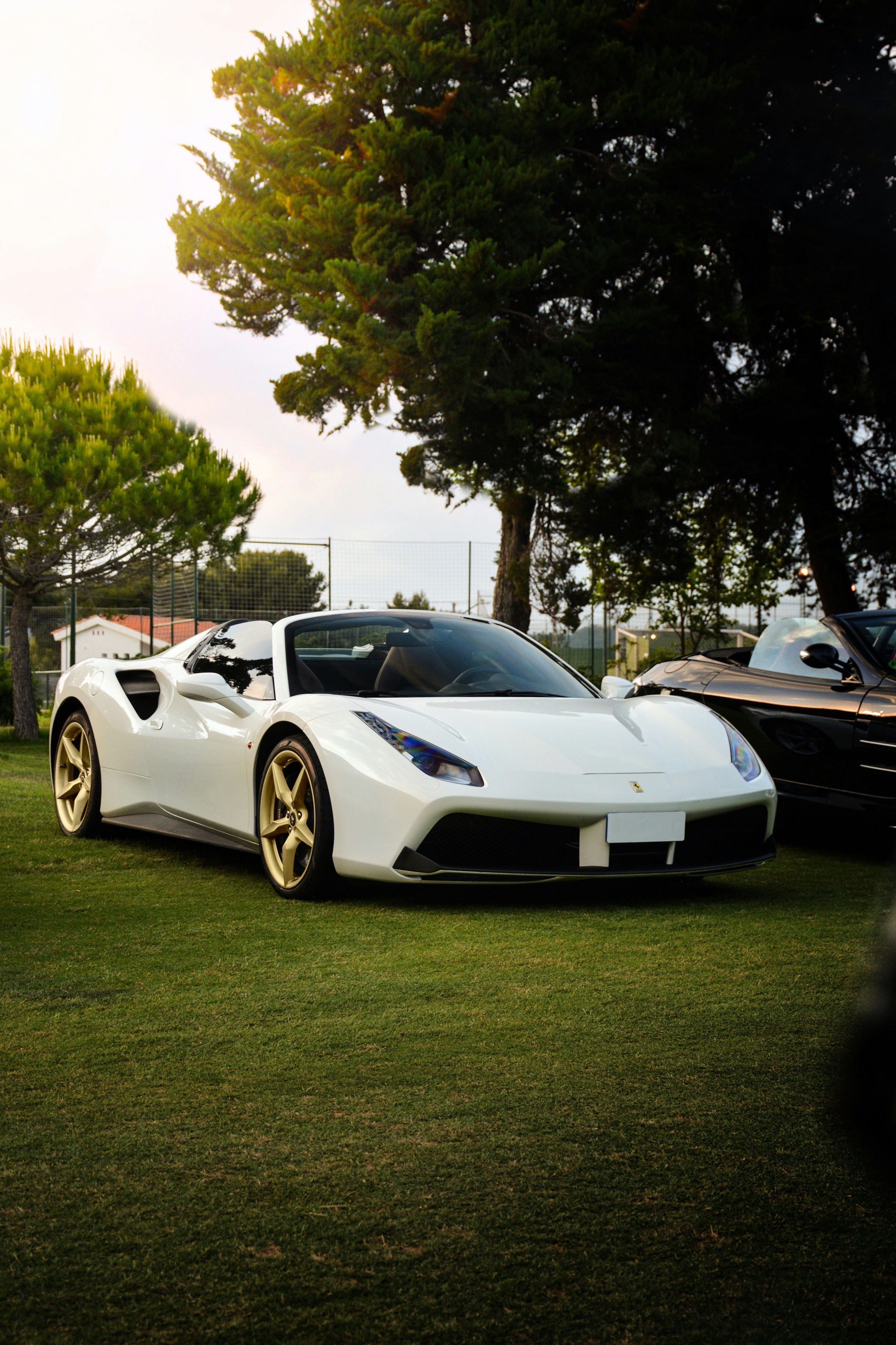 Photo by guillesanchez