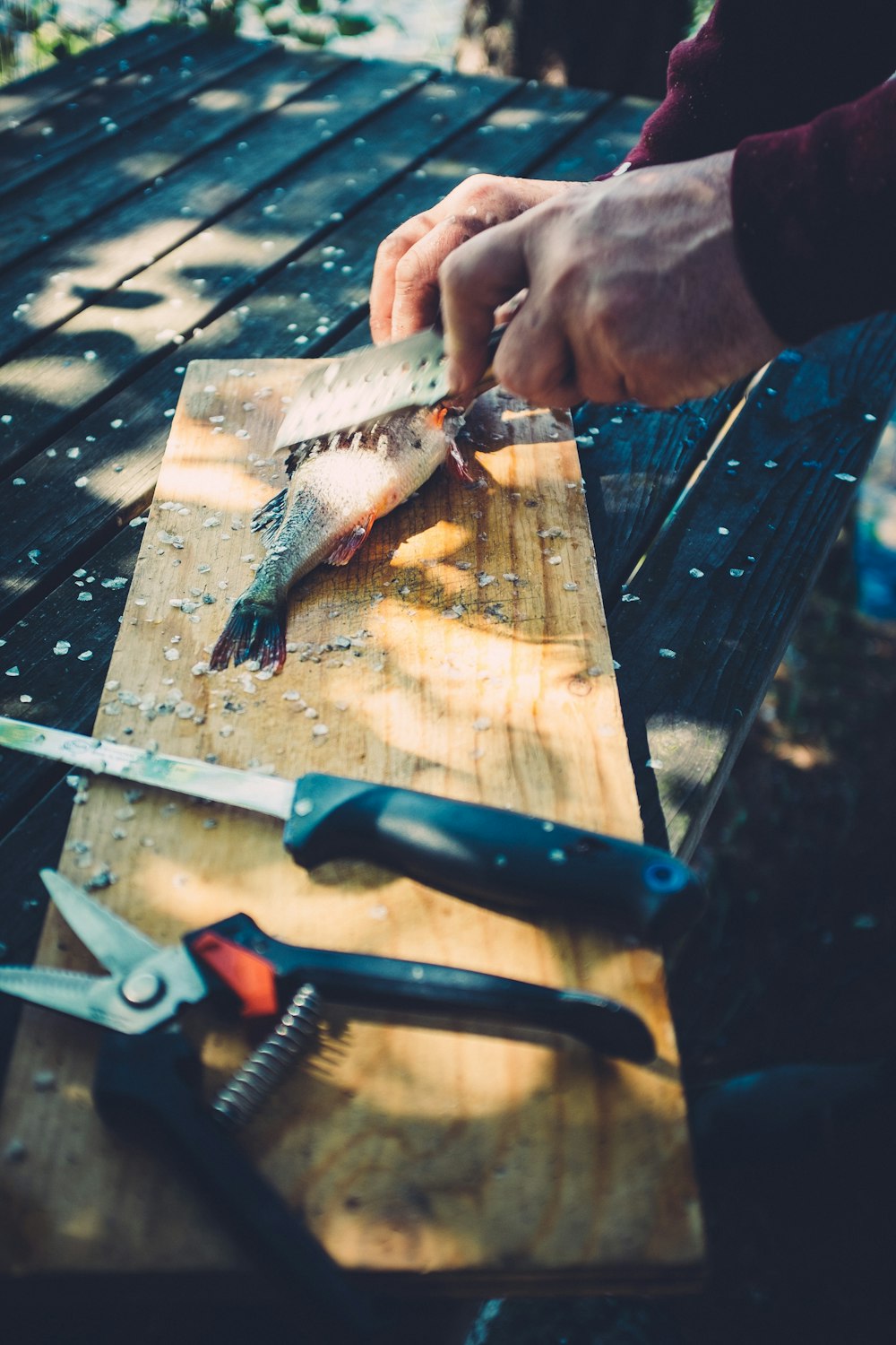 person holding black and gray hand tool