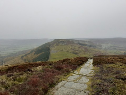 A stone path leads through a rugged, open landscape with overcast skies. Rolling hills covered in brown heather and patches of green vegetation dominate the scene. A dense forested area lines one side of a distant hill. The atmosphere is moody and misty.