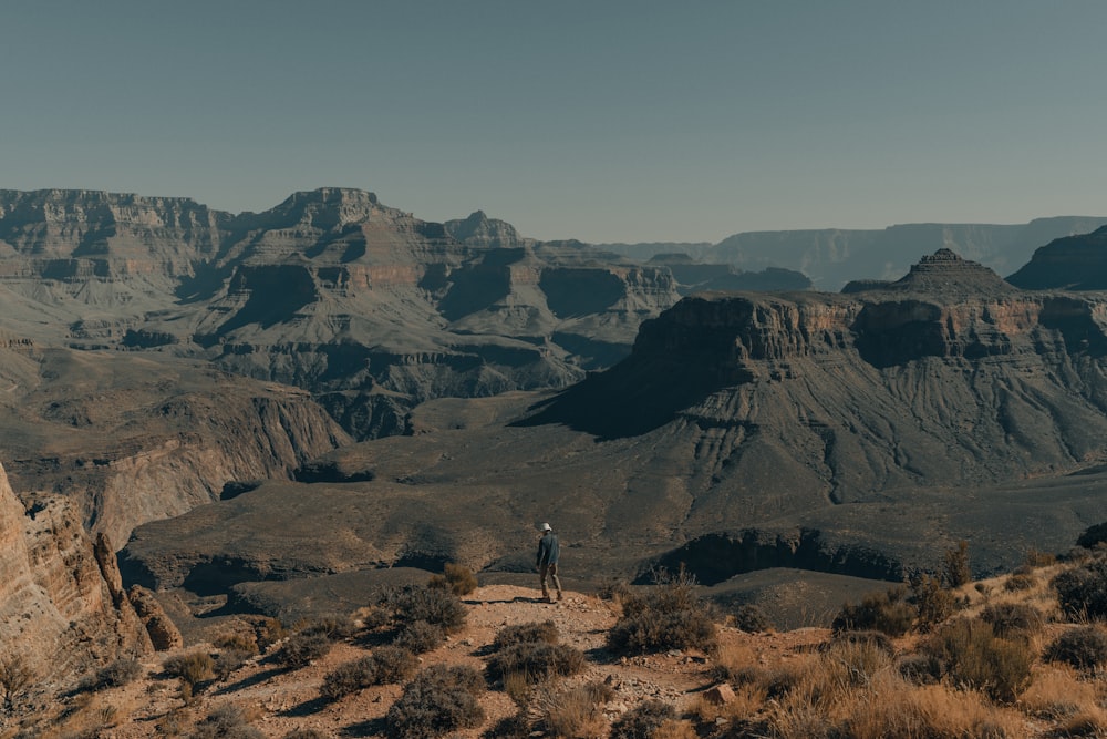 person walking on brown field during daytime