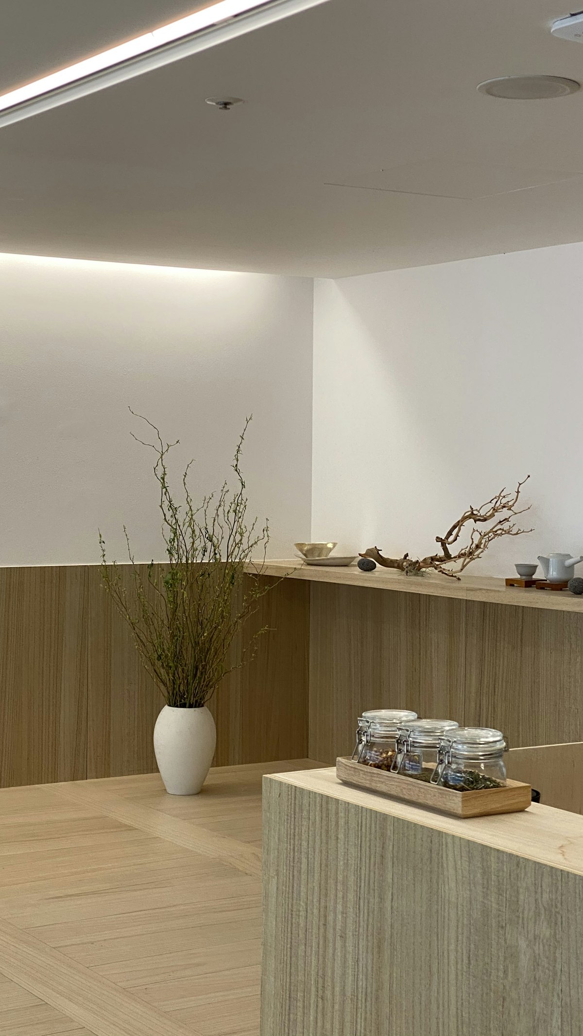 Design Biofílico e Materiais Naturais: As Tendências que Vão Dominar a Casa Premium