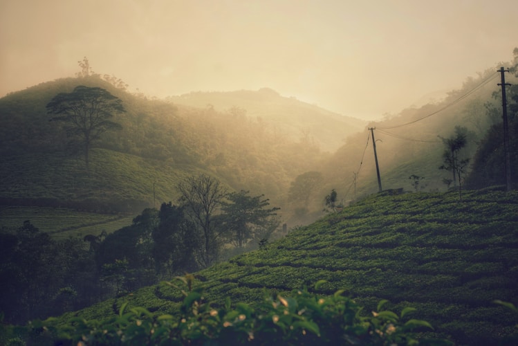 Why Hourly Hotels Are Revolutionizing Travel in India