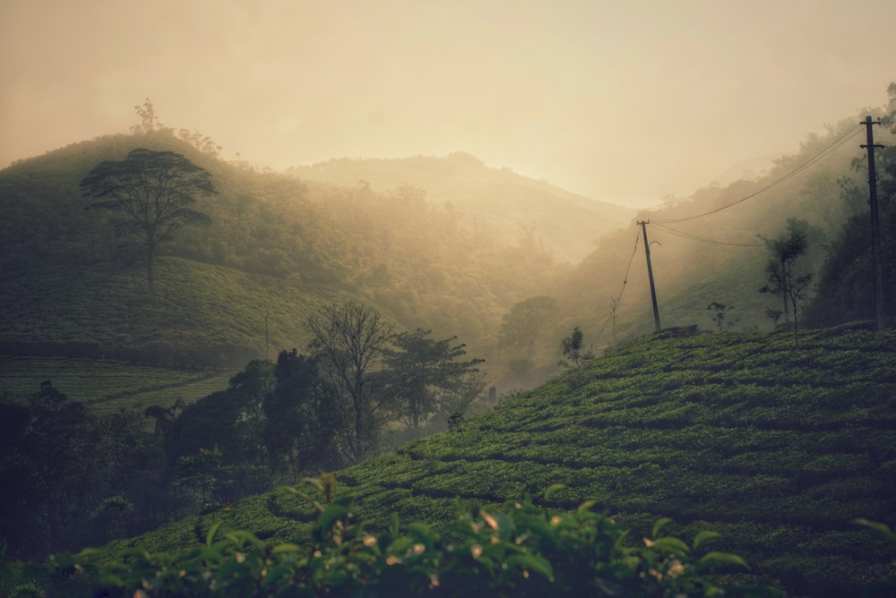 green grass field near mountain during daytime