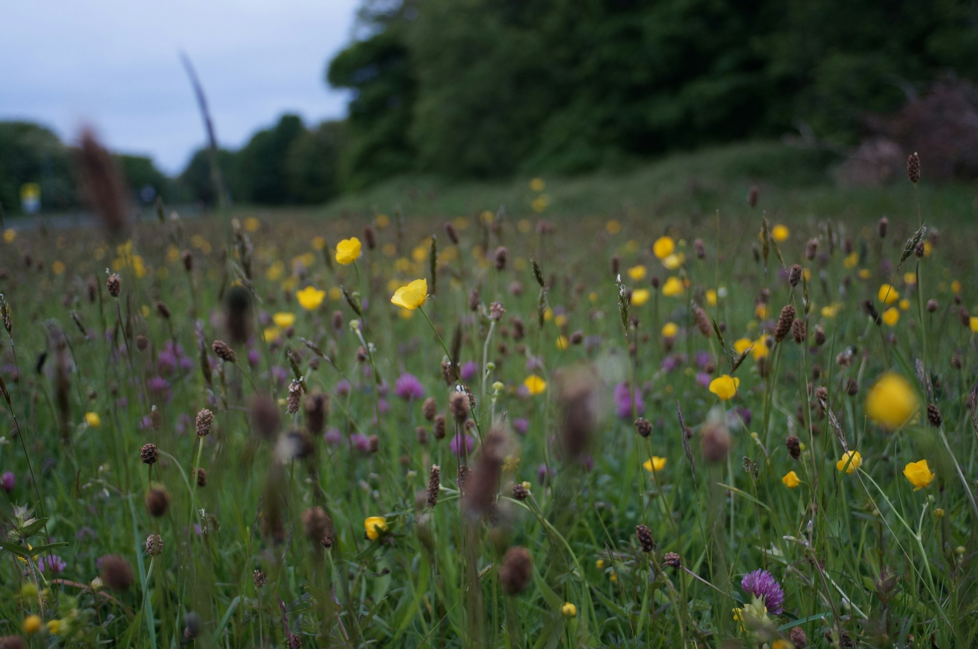 Investing in Nature