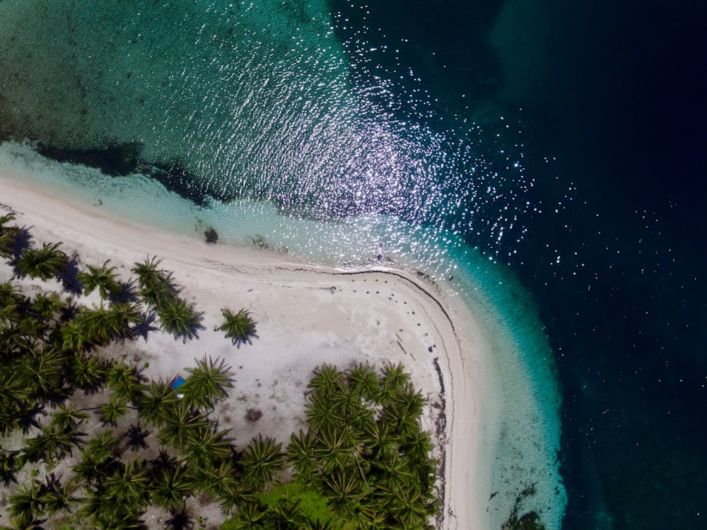 aerial view of beach during daytime