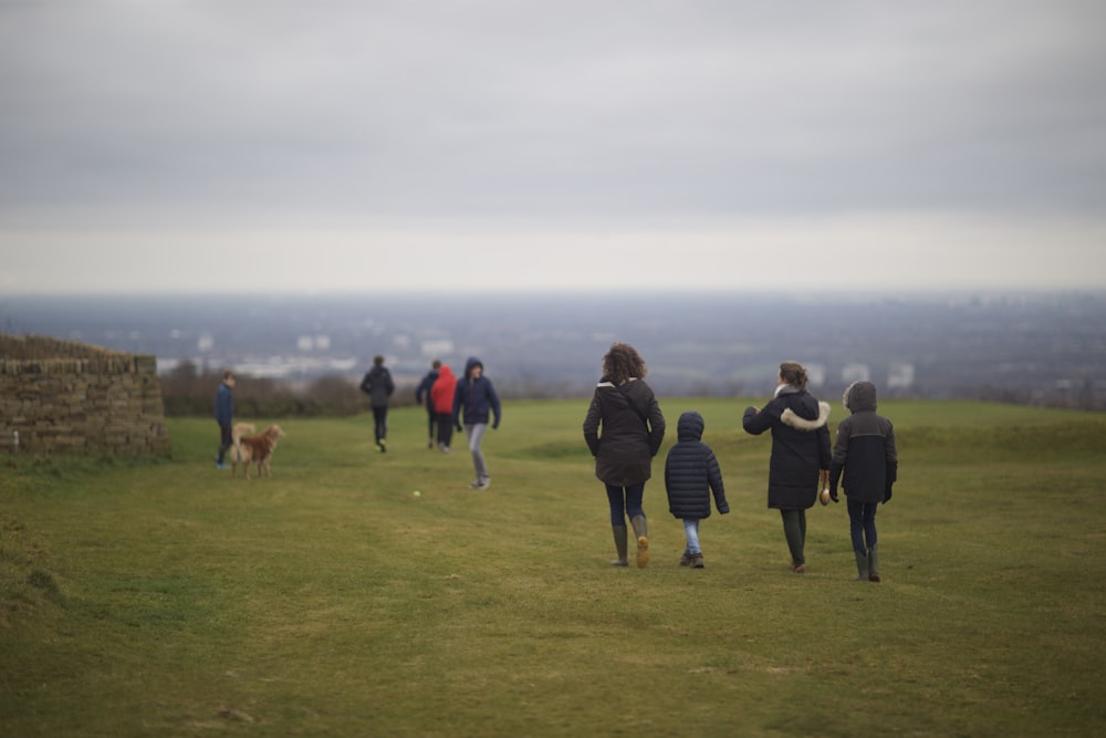 people walking on green grass field during daytime