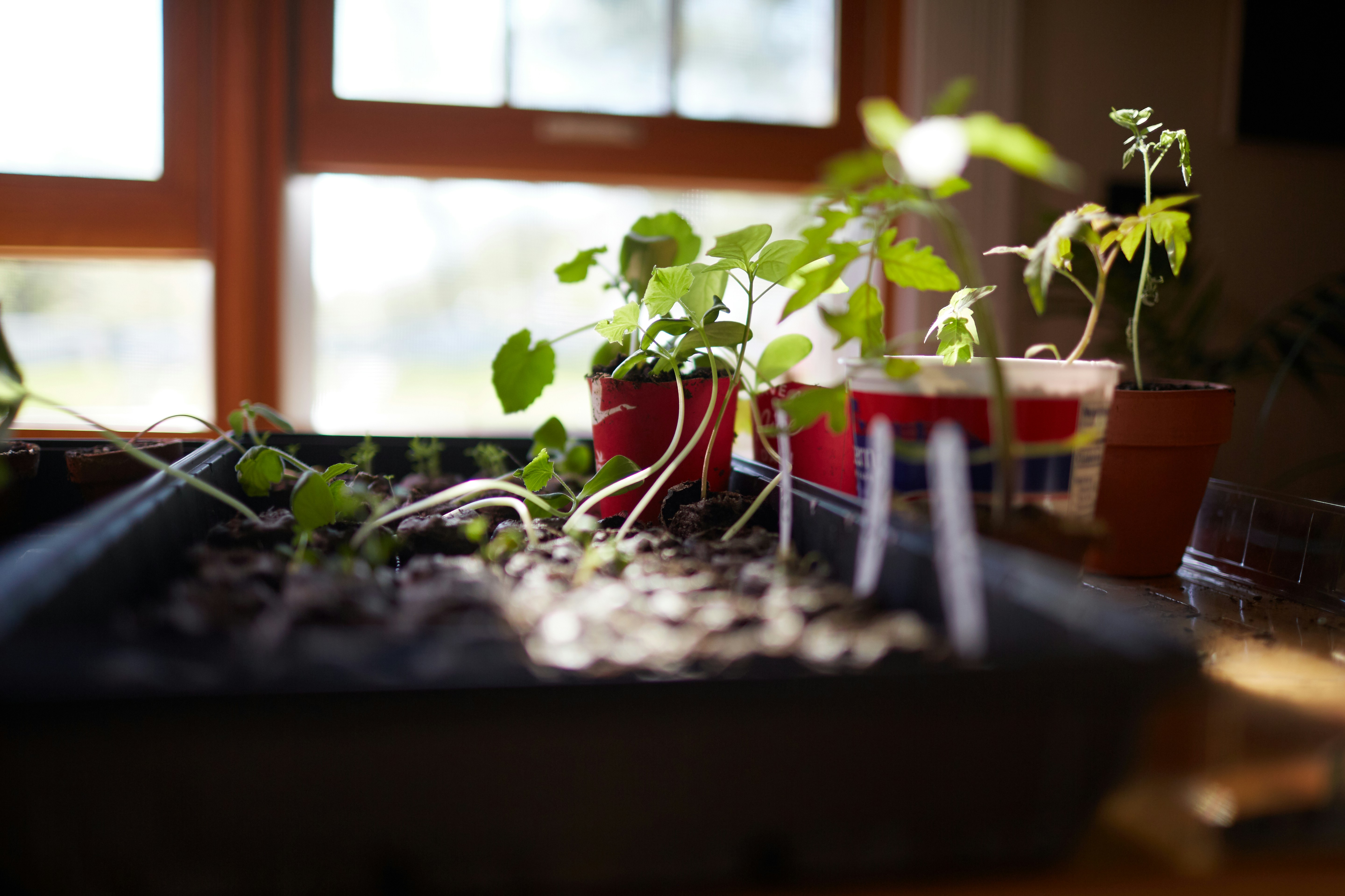 Photo by davidtoddmccarty