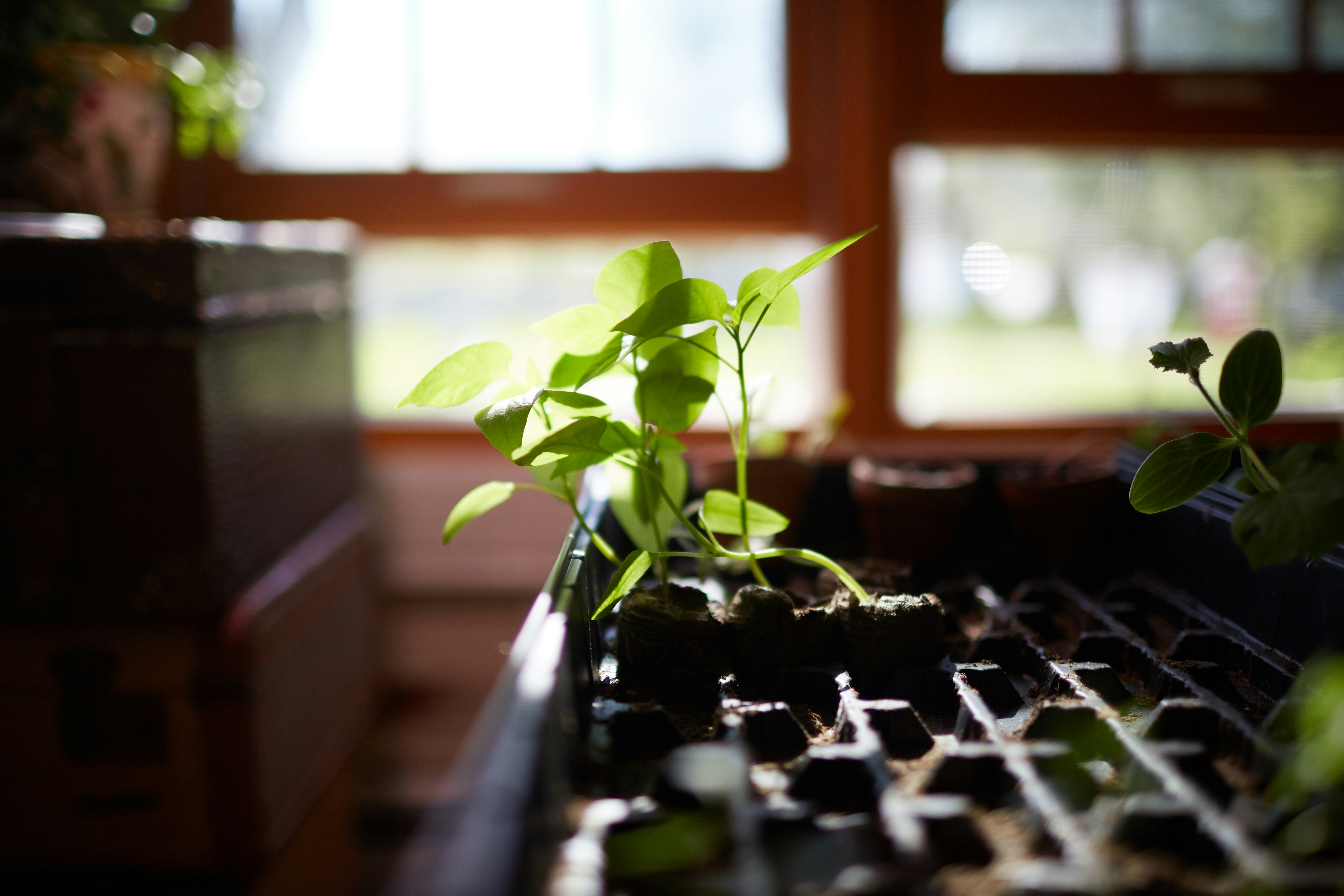 Photo by davidtoddmccarty