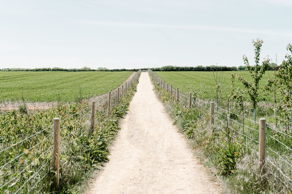 brown dirt road between green grass field under white sky during daytime