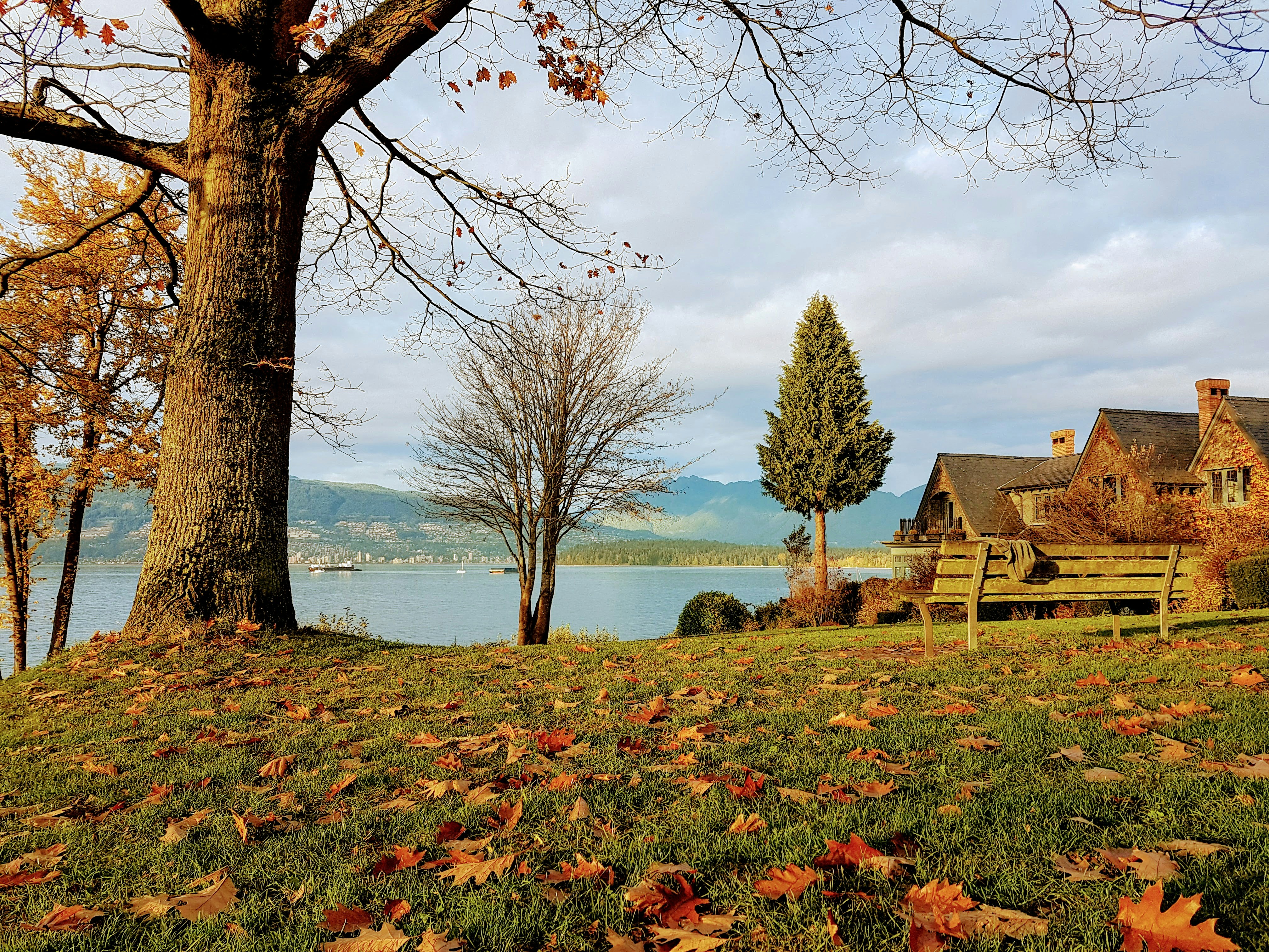 brown wooden house near body of water during daytime