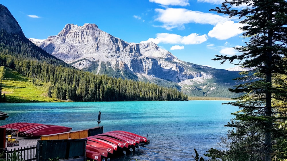 brown wooden dock on lake near snow covered mountain during daytime