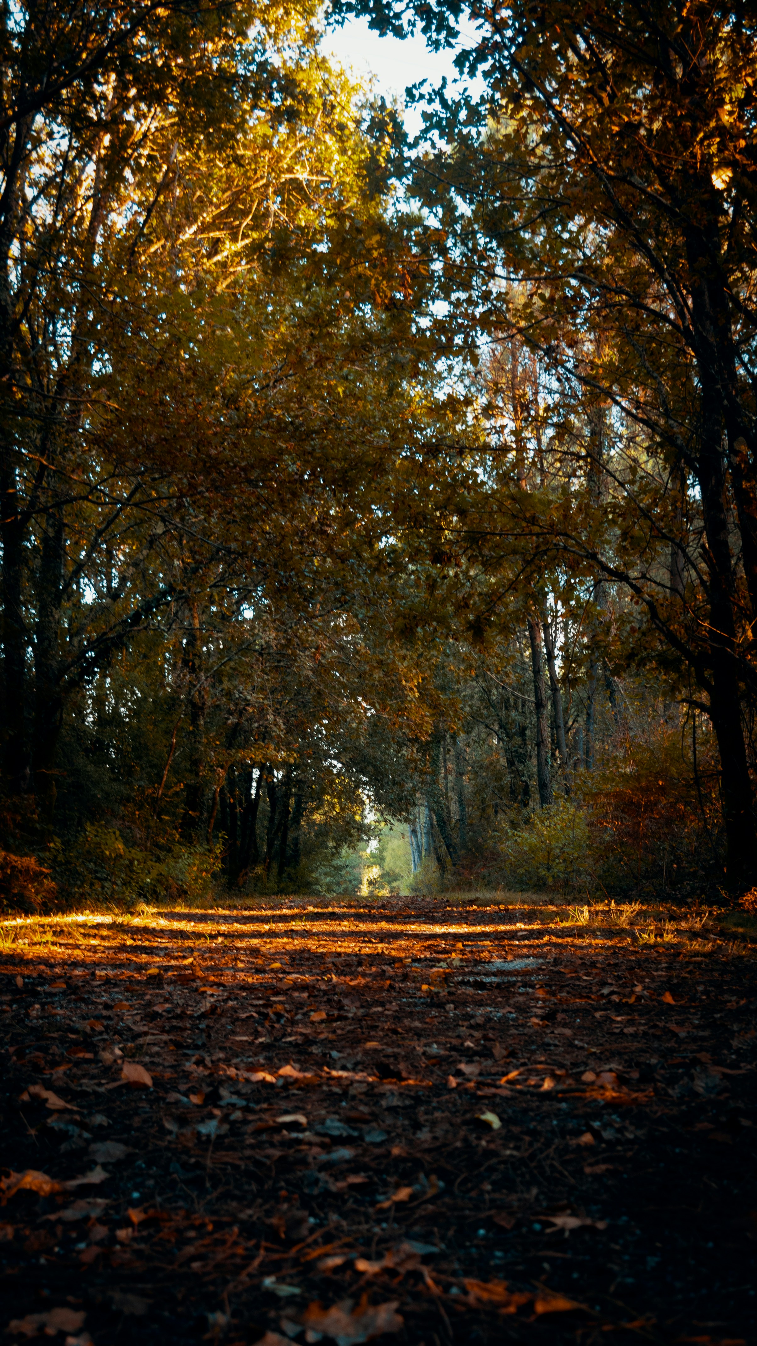 Photo by jbehuet