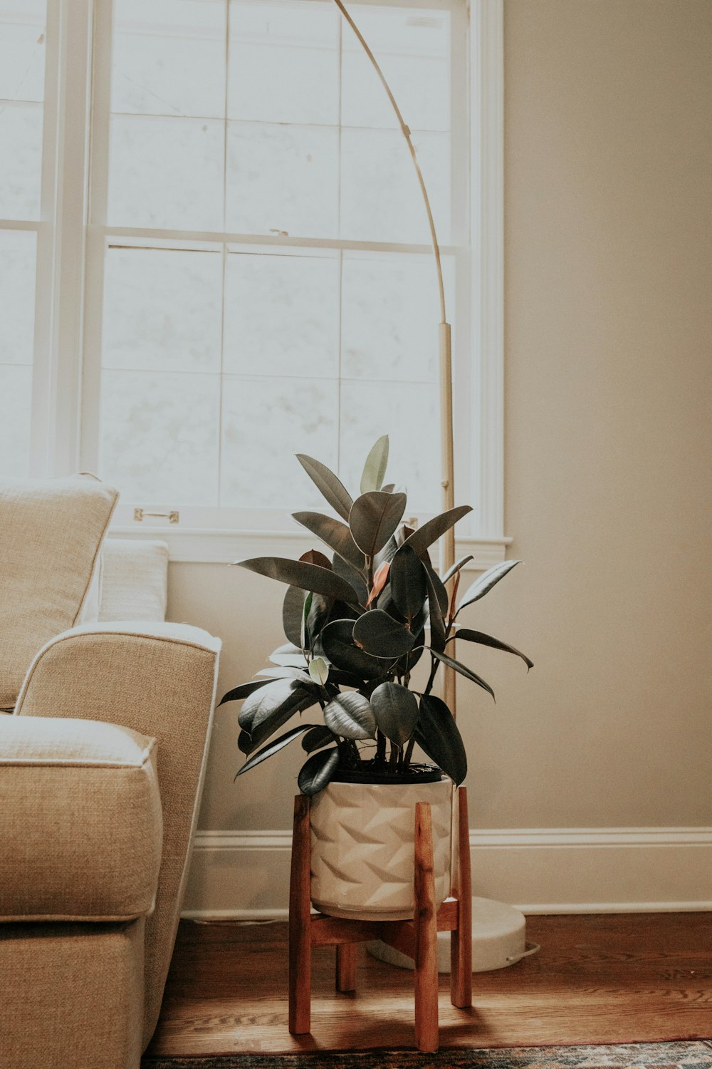 green plant on brown pot