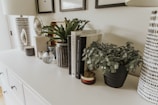 A decorative coffee table with inspirational books and plants.