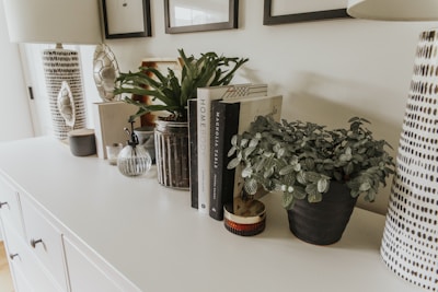 A neatly arranged tabletop features decorative items including two potted plants, a glass jar, books, and a few small objects. The plants vary between a leafy green and a variegated white and green variety. Books are stacked vertically, and one is titled 'Homebody'. Two lamps with patterned shades stand at each end of the table.