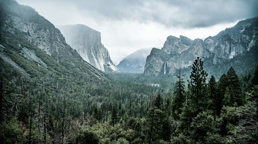 green trees near mountain under white sky during daytime